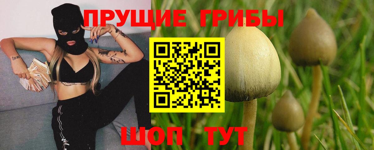 Череповец  Галлюциногенные грибы прущие грибы  Вход с VPN  Галлюциногенные грибы MAGIC MUSHROOMS 