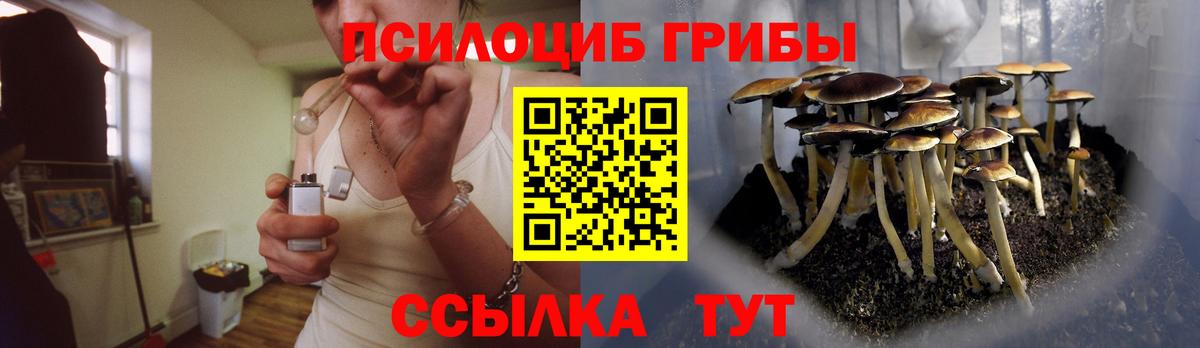 Псилоцибиновые грибы Psilocybe Череповец